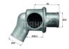 VW 4334988 Thermostat, coolant